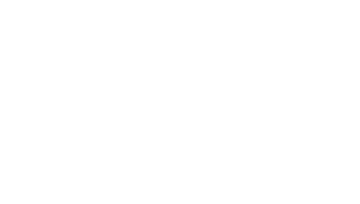 Briko