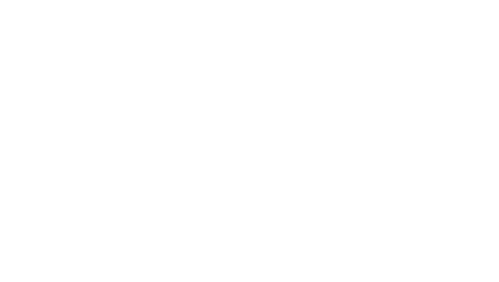 Mr. Donut